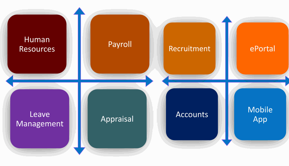 Odoo HRMS Software for Small and Medium Businesses